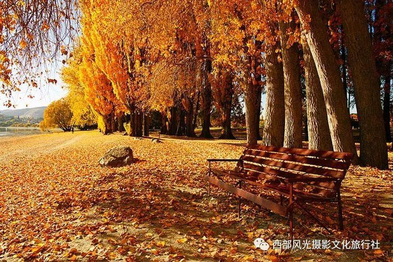 【城乡一线】榆次区智能化服务托起幸福“夕阳红”