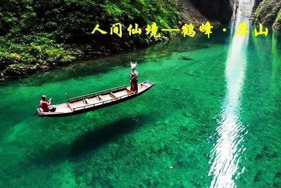 救援小橘猫