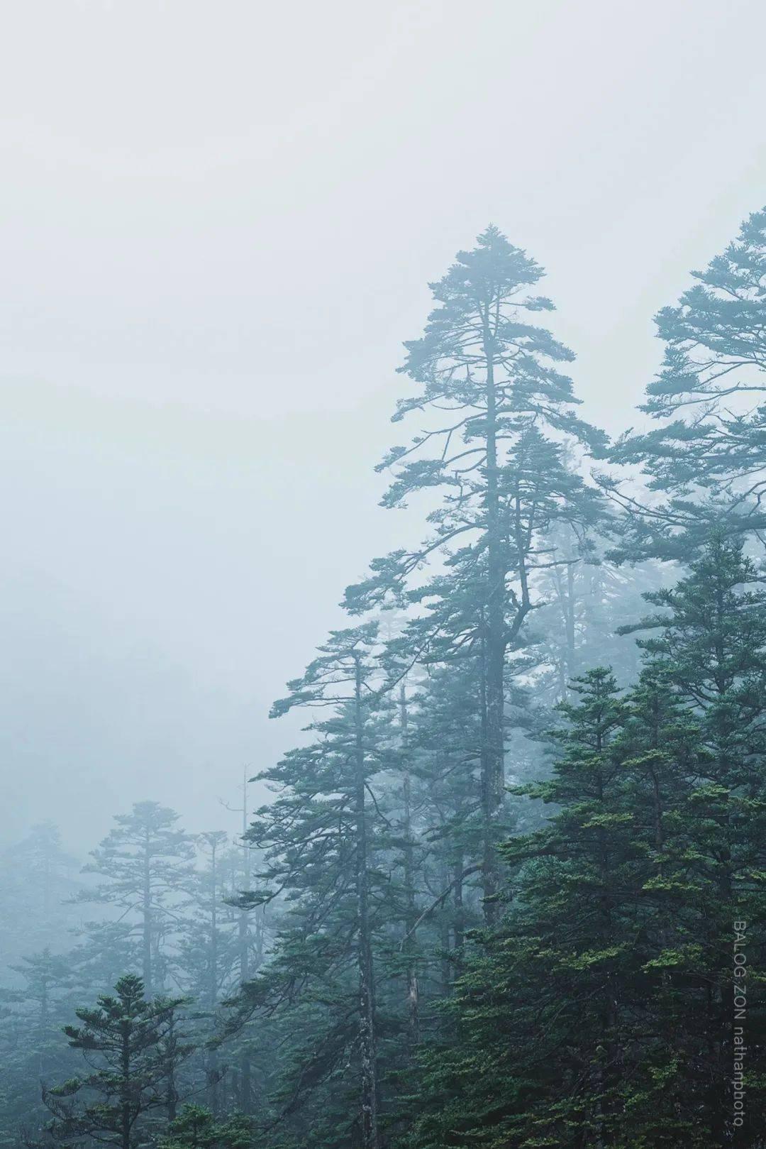 救援受困的小偷