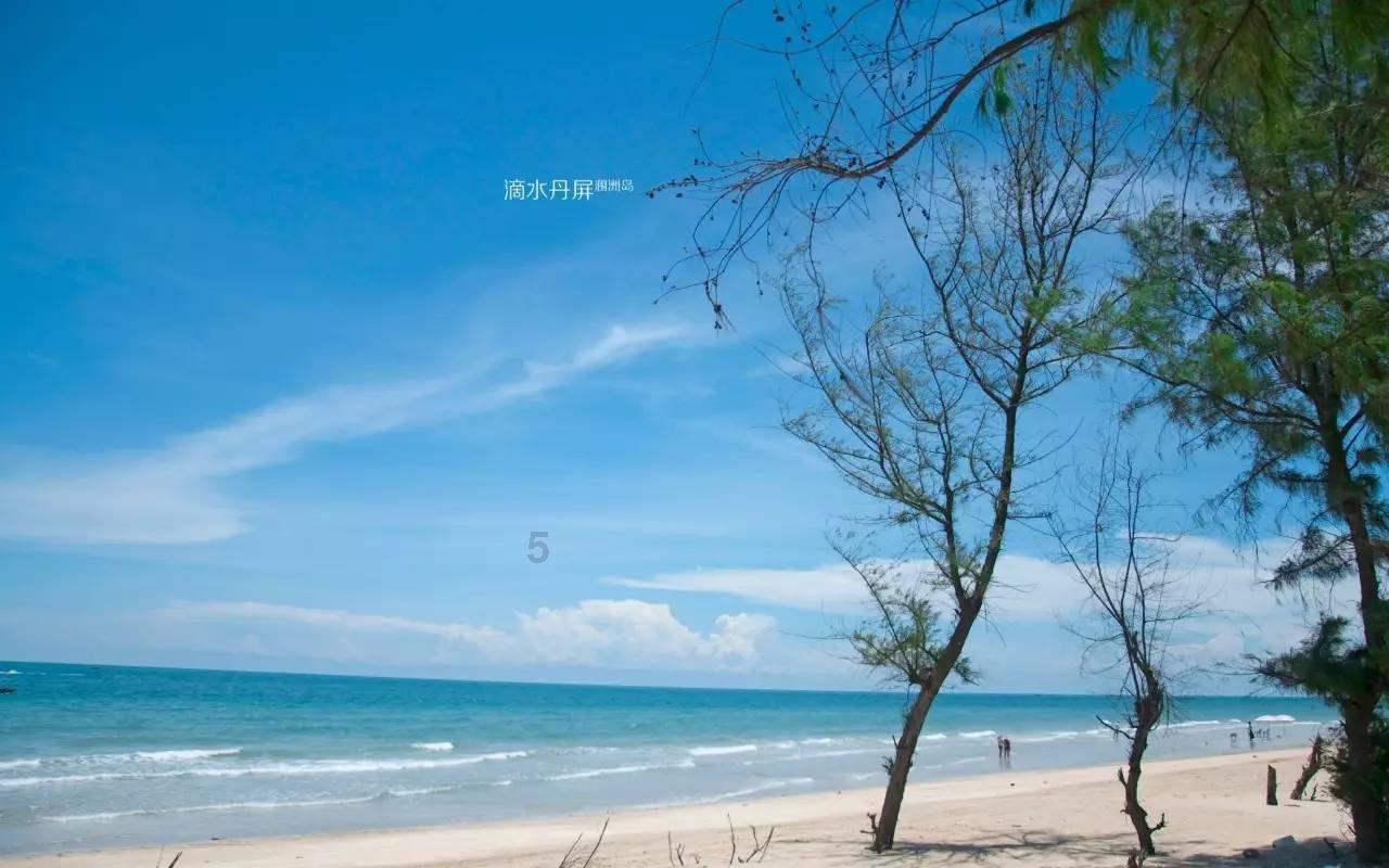 乒乓球WTT果阿球星赛:四位世界冠军受挫,韩国单打失利,但双打斩获三冠