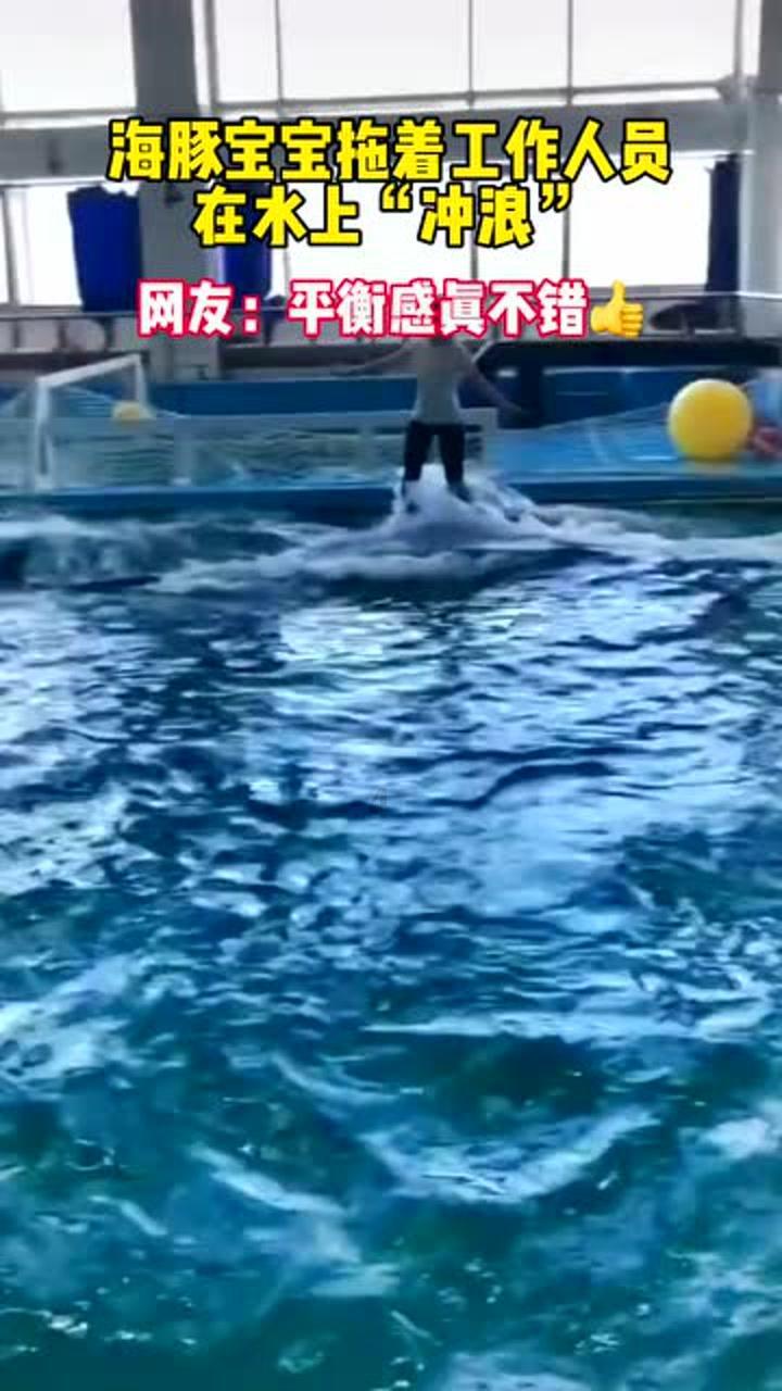 大金狮逃生