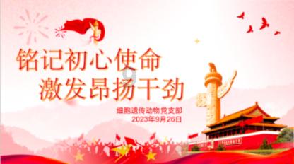 ISE 2024现场报道,一文了解IHSE展台