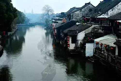 探索天涯 互动交流航拍已有1400年历史的古银杏树,传说当年是李世民亲手所种